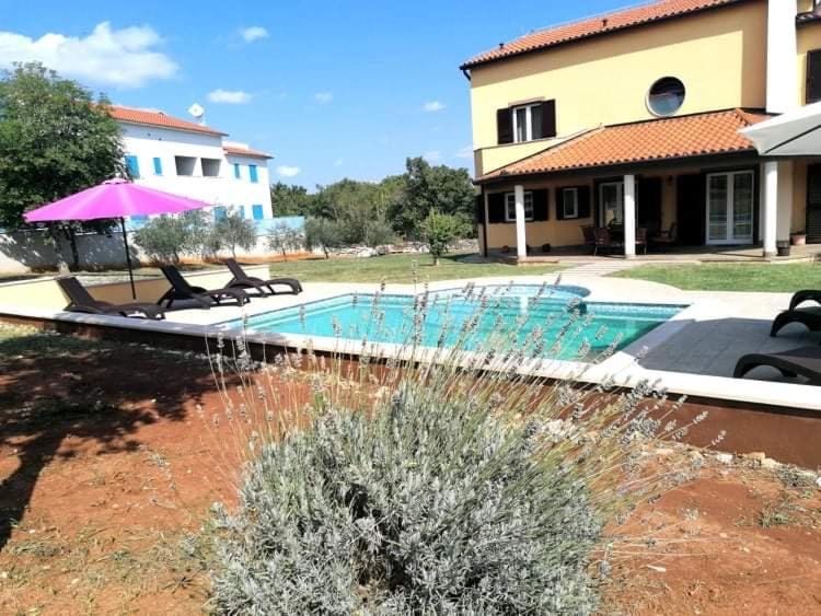 Apartman Glavica Apartment in Istria County