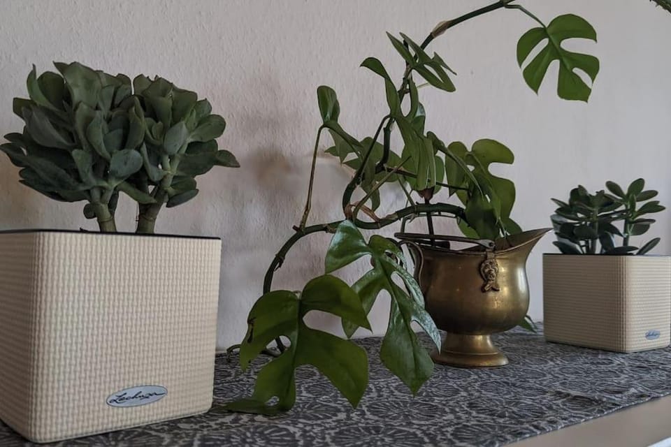 Ferienoase mit Dachterrasse nahe Sankt Leoner See Apartment in Baden-Württemberg