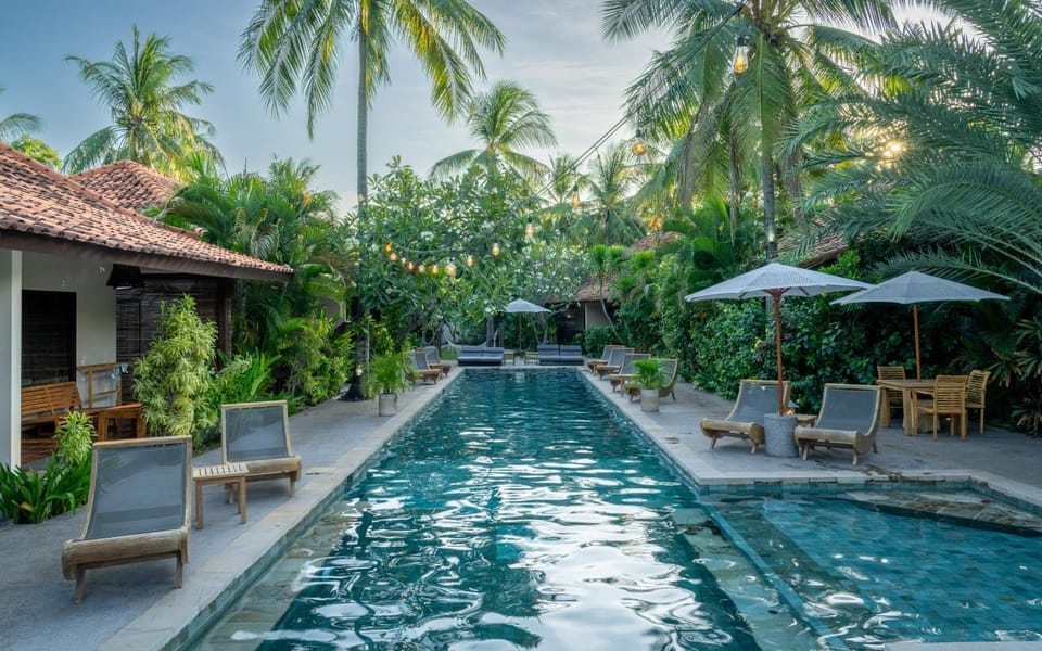 Garden, Swimming pool, sunbed