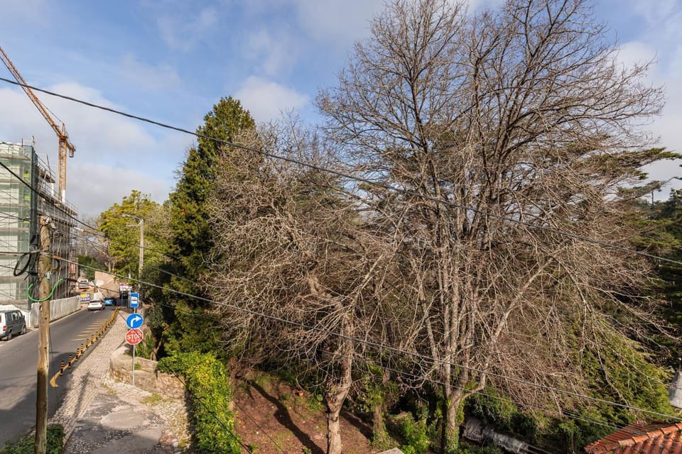 Spring, Day, Natural landscape, Garden, Garden view