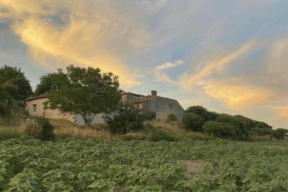 Day, Natural landscape