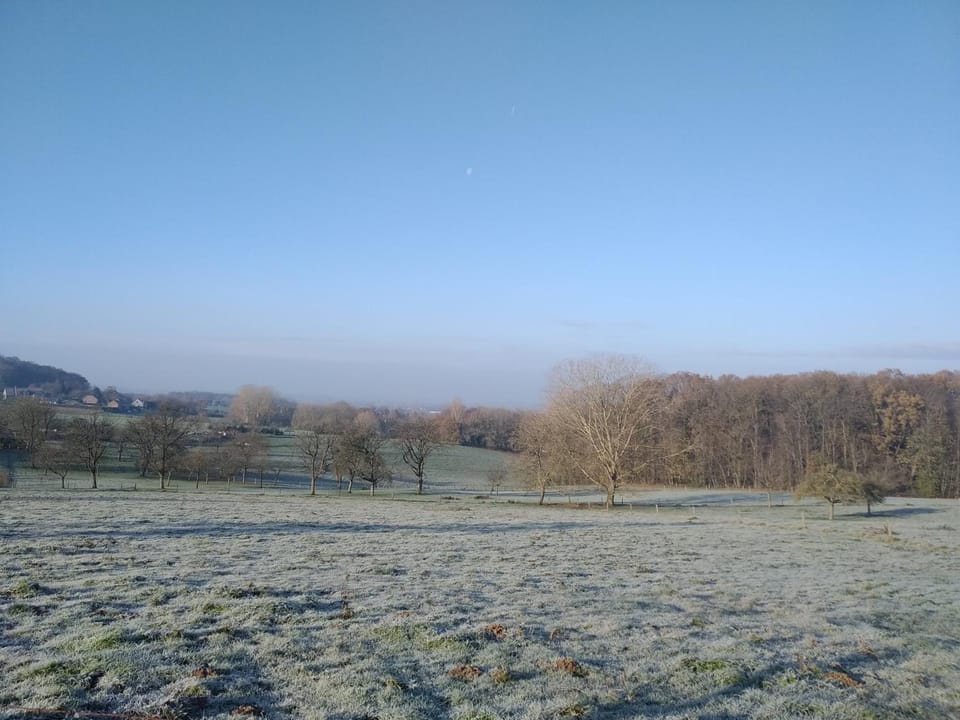 Natural landscape, Winter