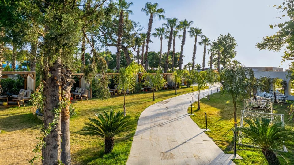 Garden, Garden view, Garden view