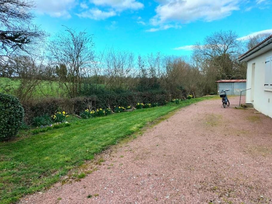 Natural landscape, Garden view