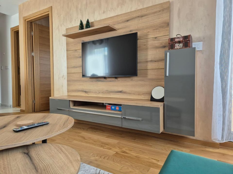 TV and multimedia