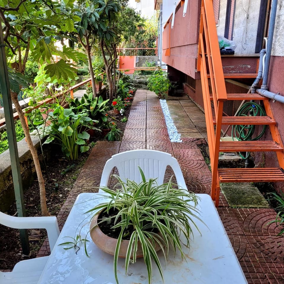 Garden, Garden