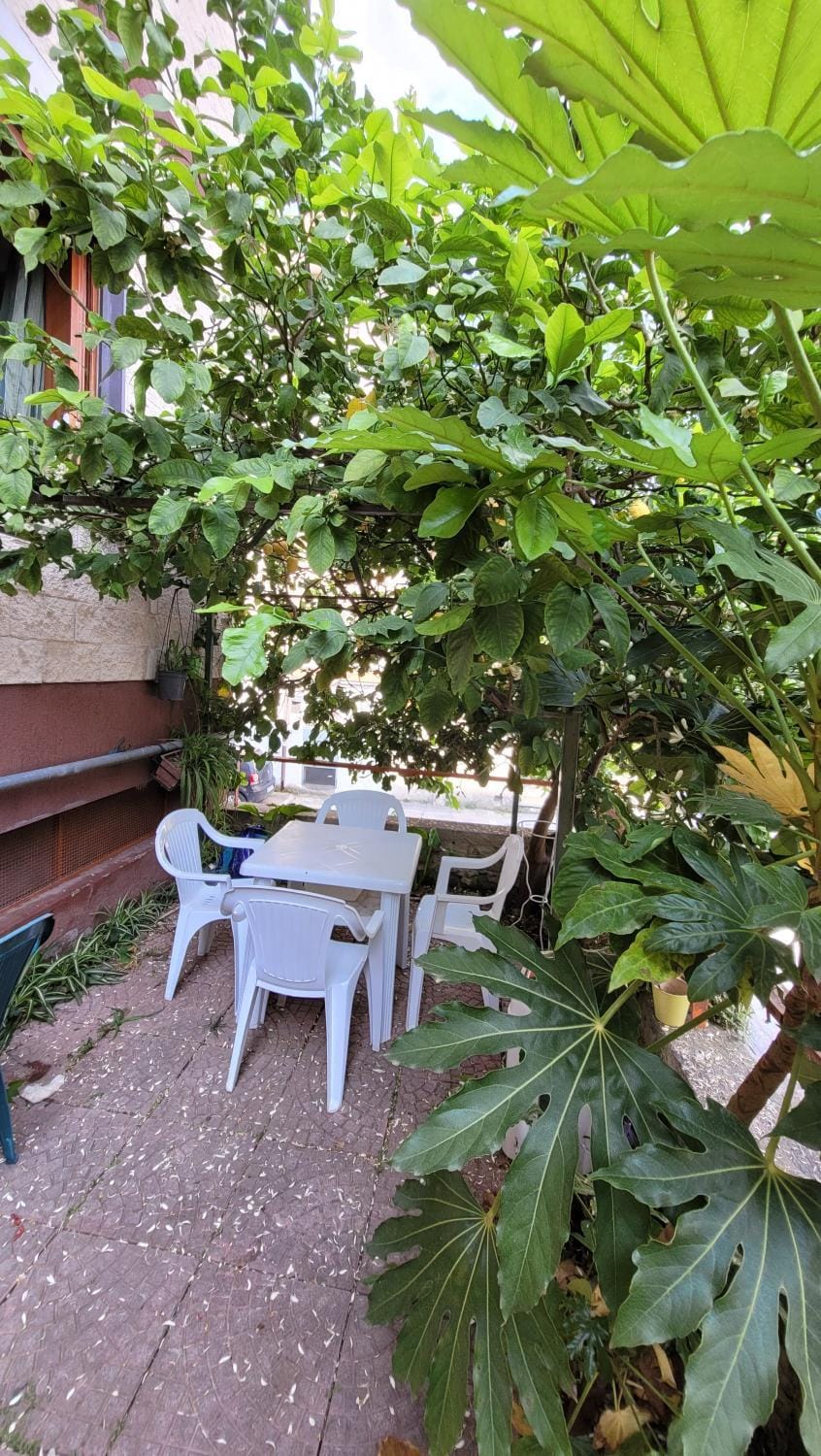 Garden, Garden