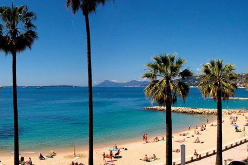 Newly Built Apartment with Pool, Walk to the Beach Apartment in Antibes