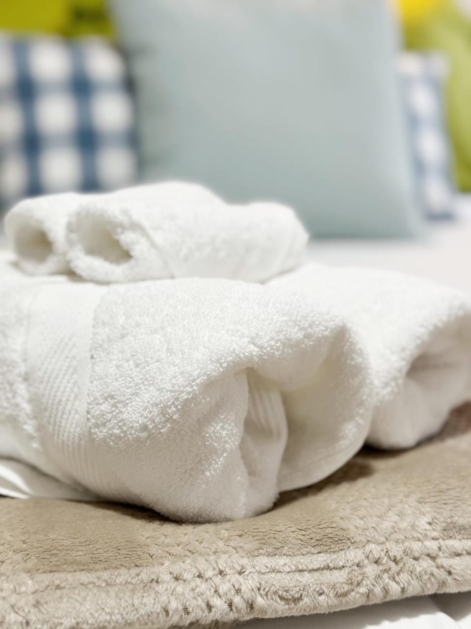 The Cardinal Studio Apartments Apartment in Evansville