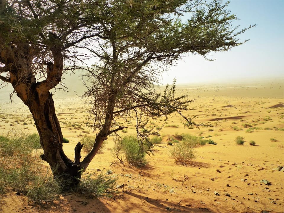 Natural landscape, Hiking