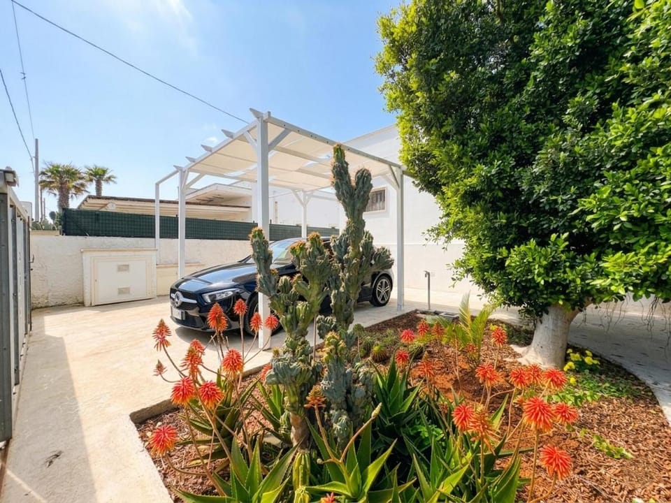 Garden, Garden view, Parking