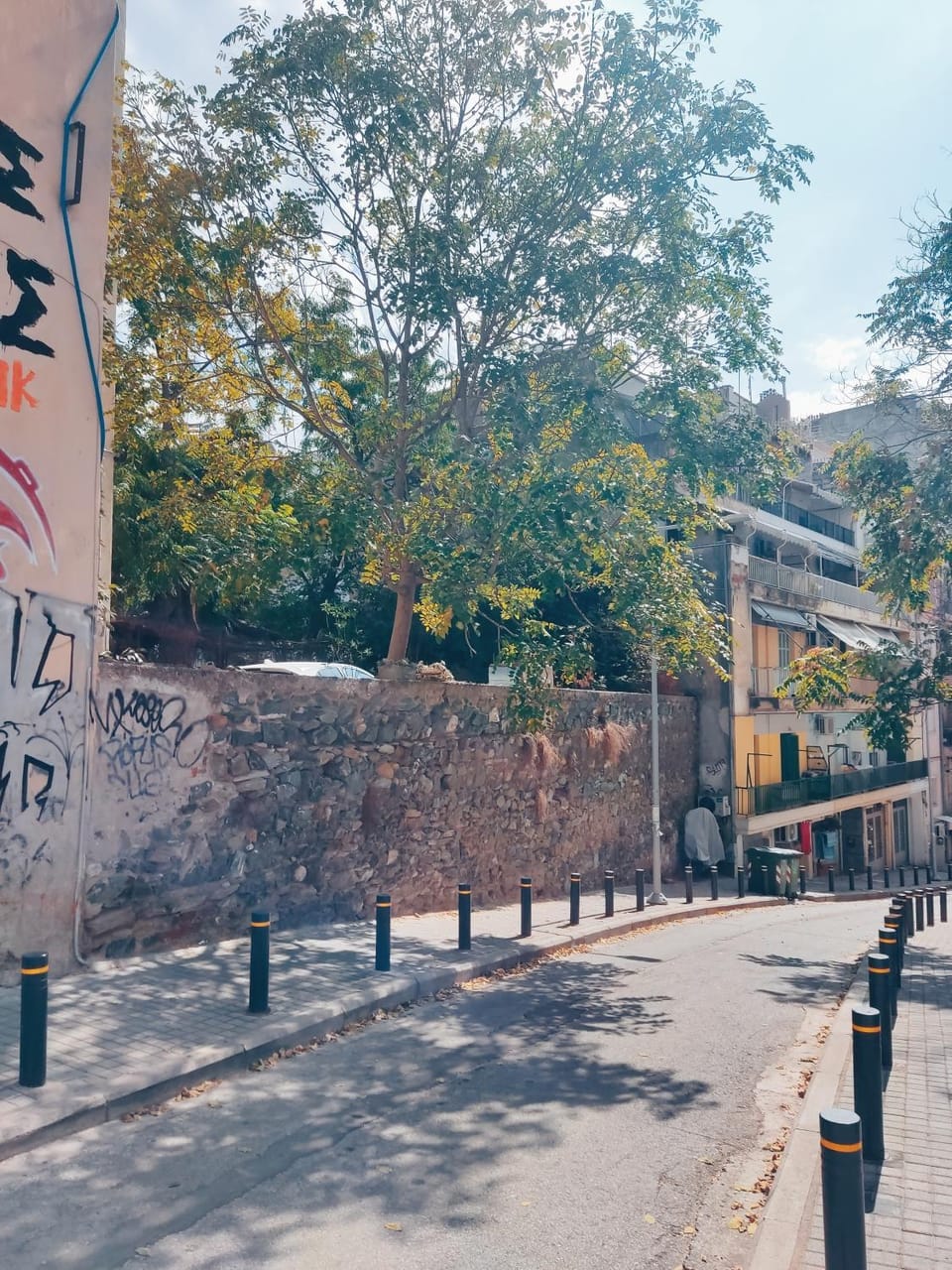 Day, Natural landscape, Street view