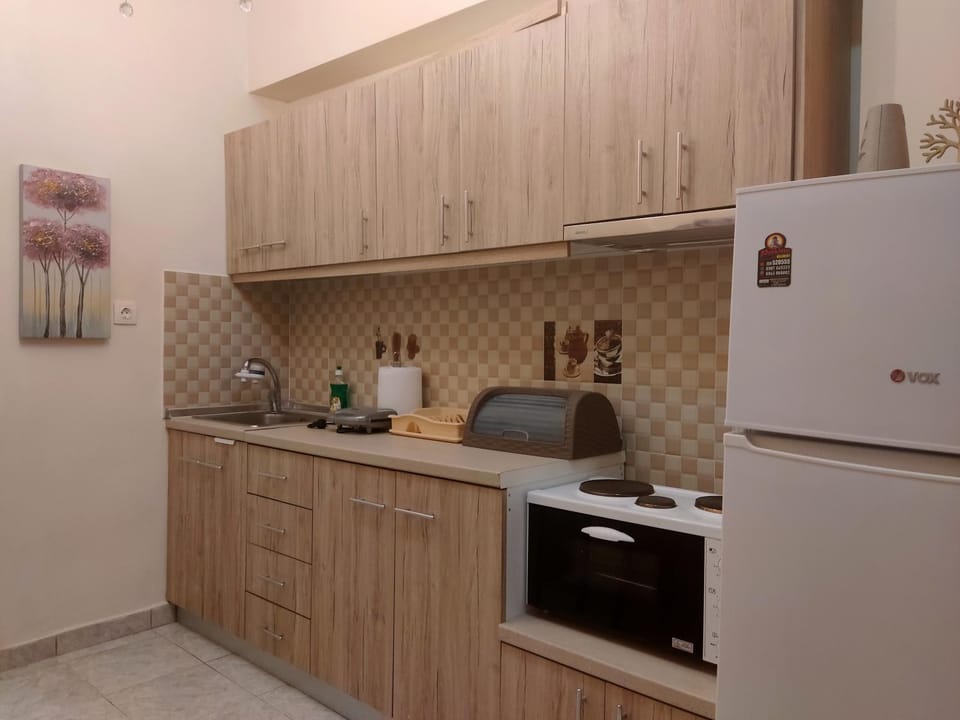 Kitchen or kitchenette, minibar, pet friendly, stove