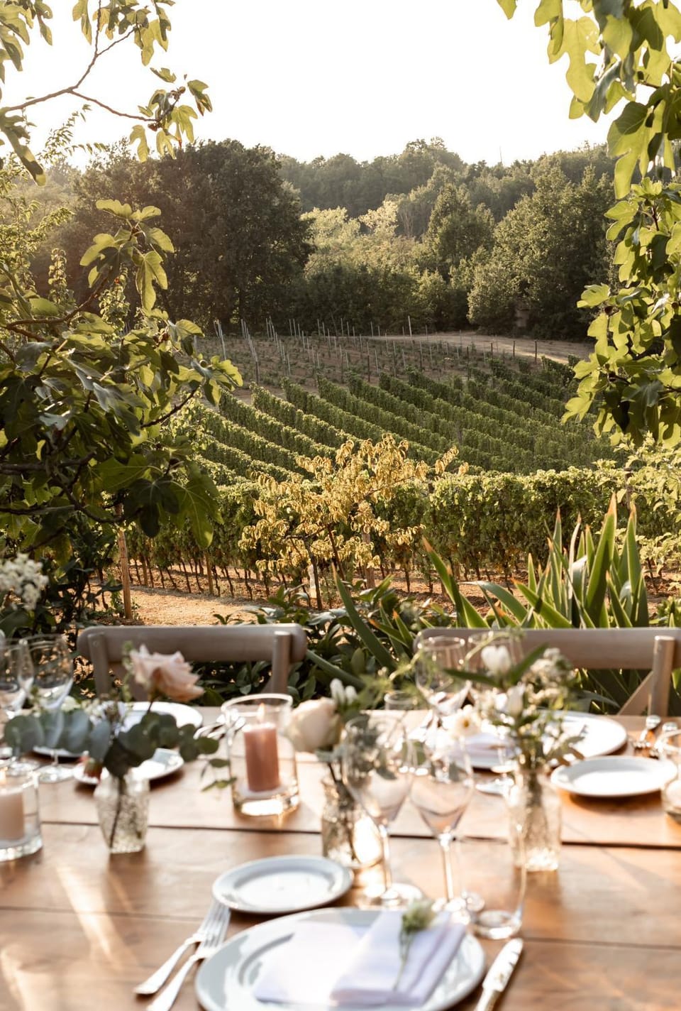 Spring, Day, Natural landscape, Summer, Garden, Food and drinks, Dining area, Food, Garden view, Alcoholic drinks, Sunset