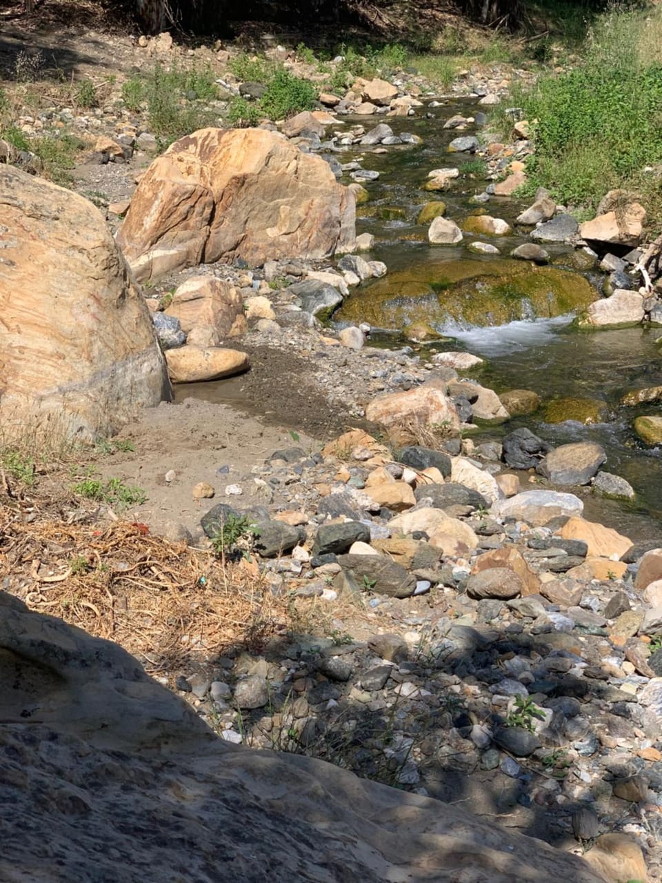 Garden, River view