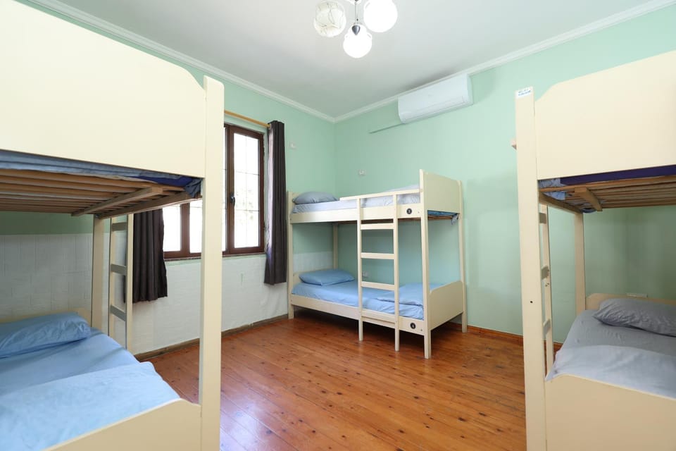Bed, Photo of the whole room, Bedroom, bunk bed