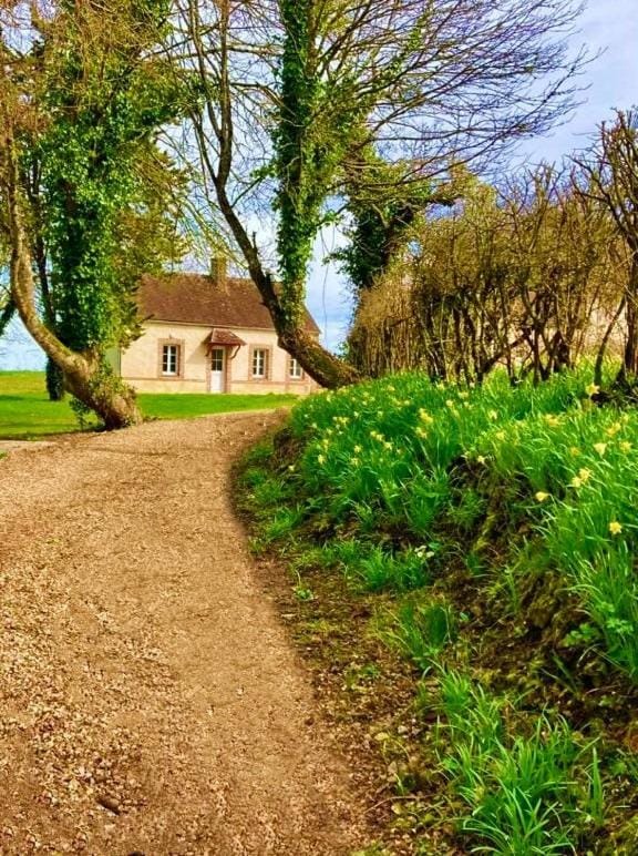 Property building, Spring, Day, Natural landscape, Garden, Garden view