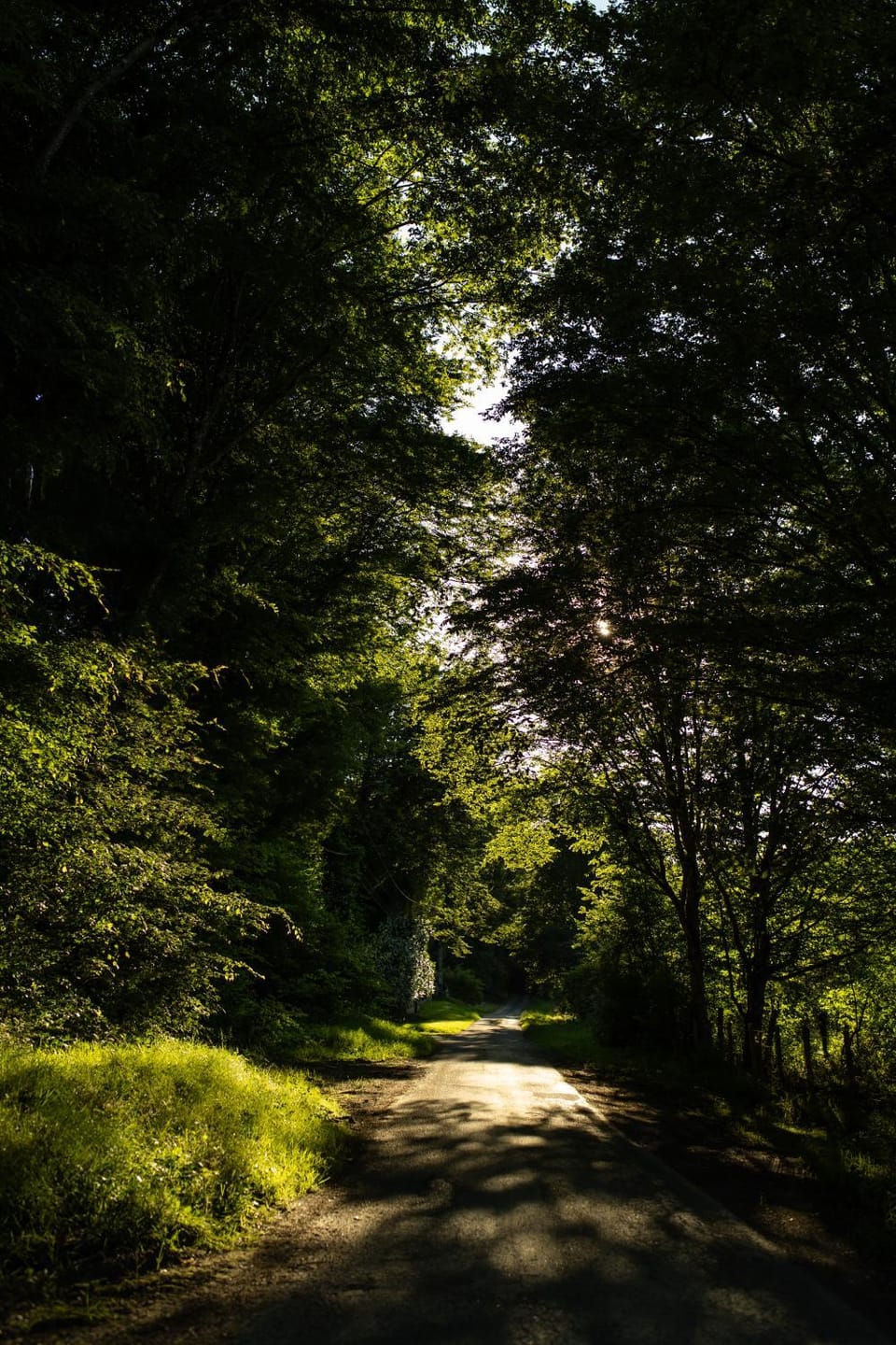 Neighbourhood, Natural landscape