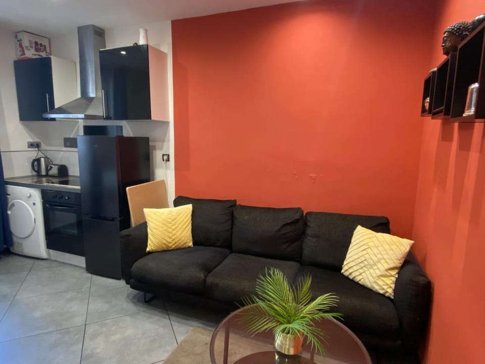 Kitchen or kitchenette, Living room, oven, stove, dryer