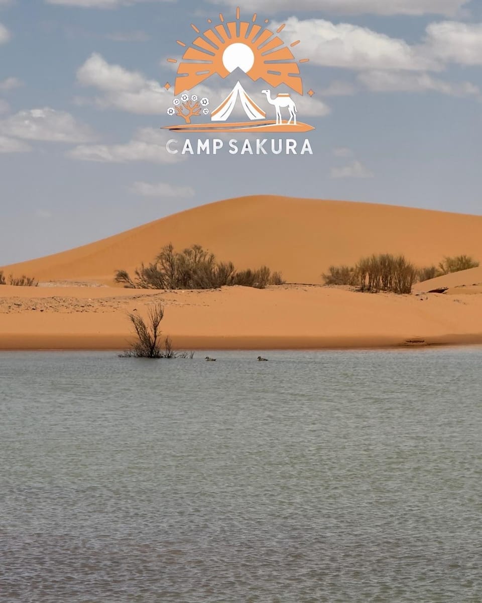 Nearby landmark, Day, Natural landscape, Lake view, River view