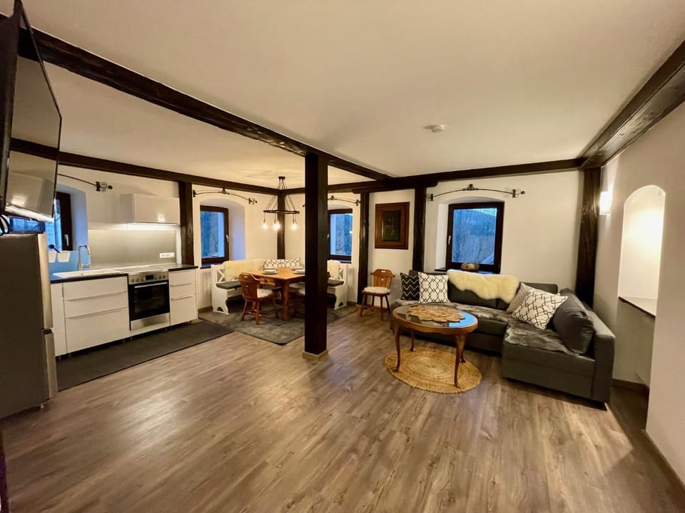 TV and multimedia, Kitchen or kitchenette, Living room, Photo of the whole room, Seating area, Dining area