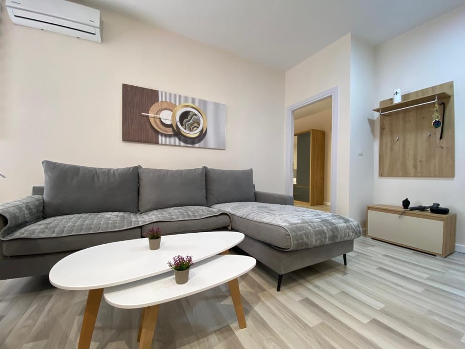 TV and multimedia, Living room, Photo of the whole room, Seating area, air conditioner