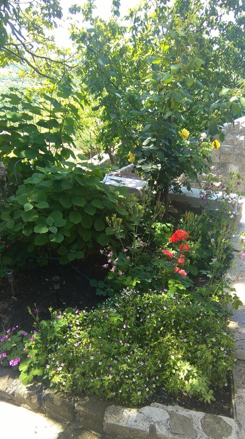 Natural landscape, Garden