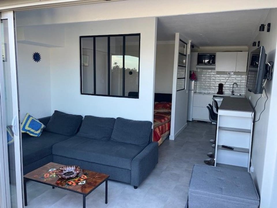 Appartement climatisé près de la mer à Bormes-les-Mimosas - FR-1-308-192 Apartment in Le Lavandou