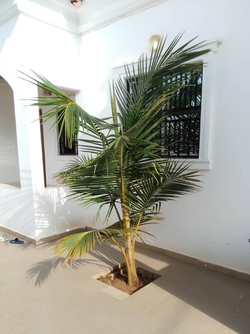 Touray Holiday apartment Apartment in Senegal