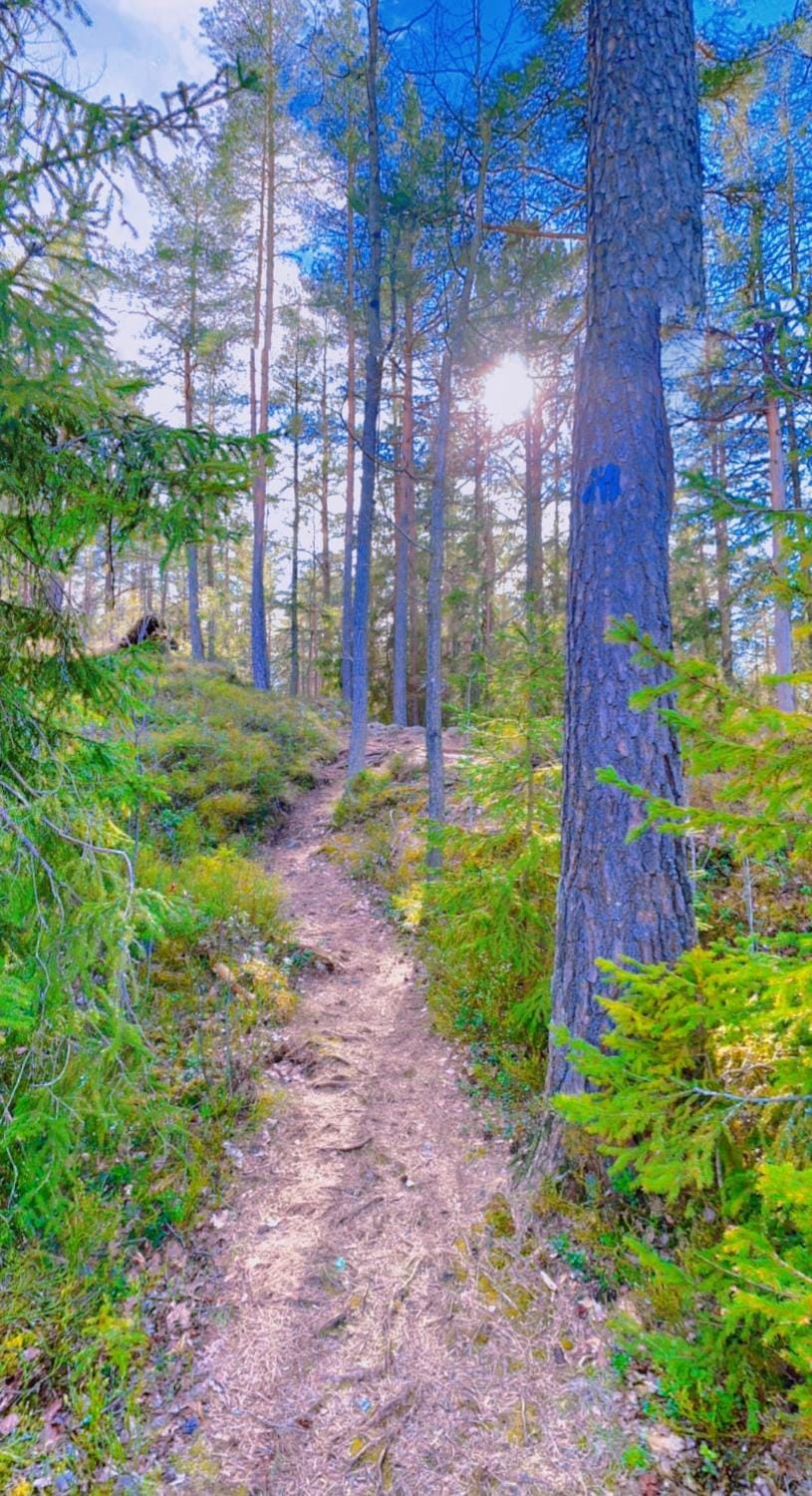 Natural landscape