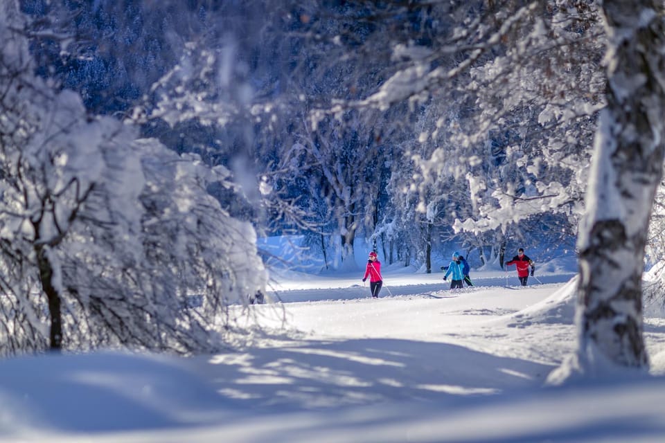 Winter