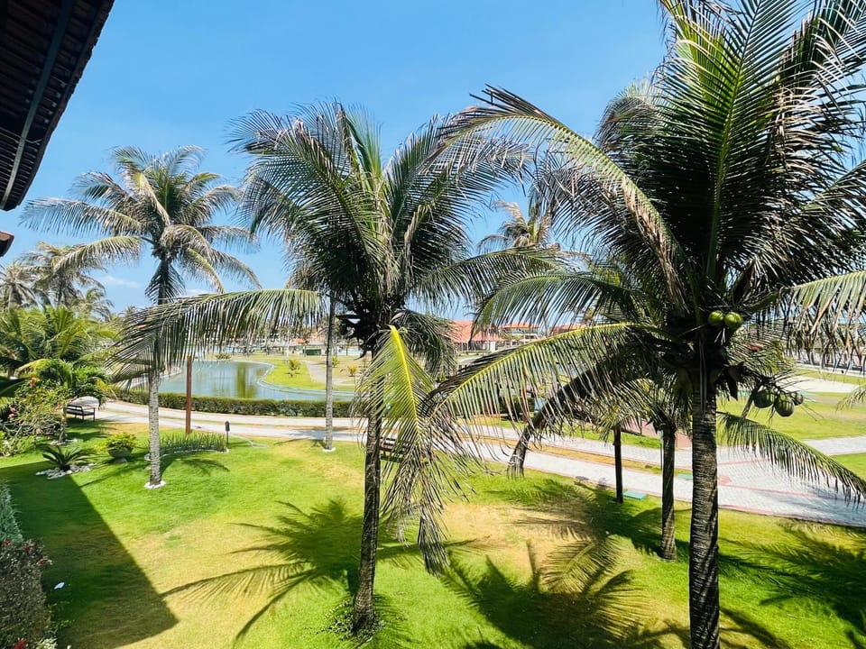 Garden view