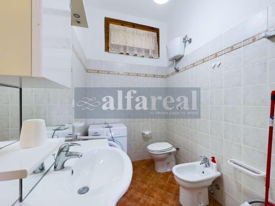 Toilet, Bathroom, washing machine