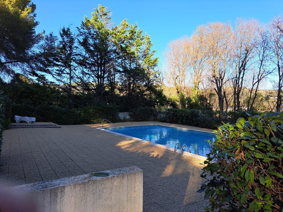 Pool view, Swimming pool