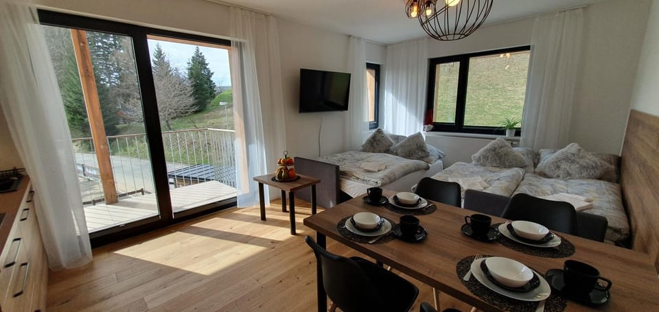Ski&Bike Apartment Janské Lázně + Parking Apartment in Lower Silesian Voivodeship