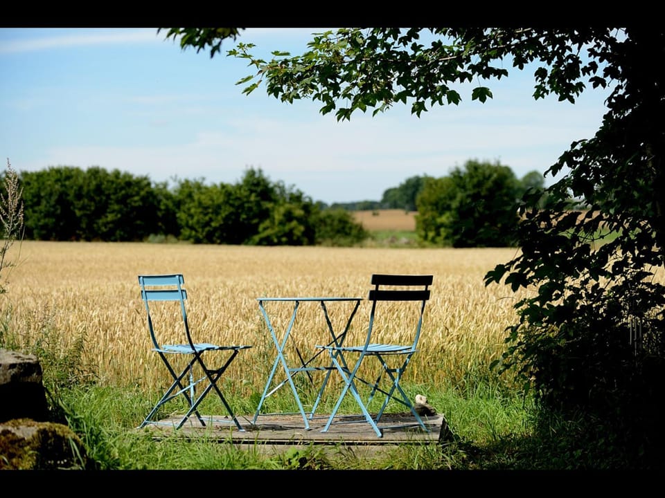 Patio, Natural landscape, Garden