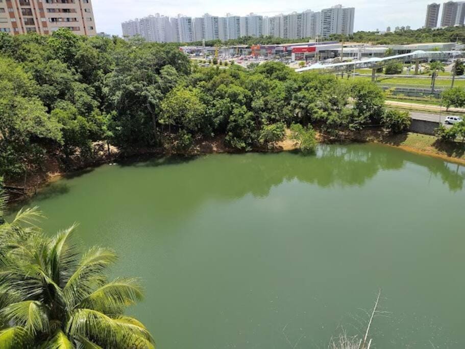 Lake view