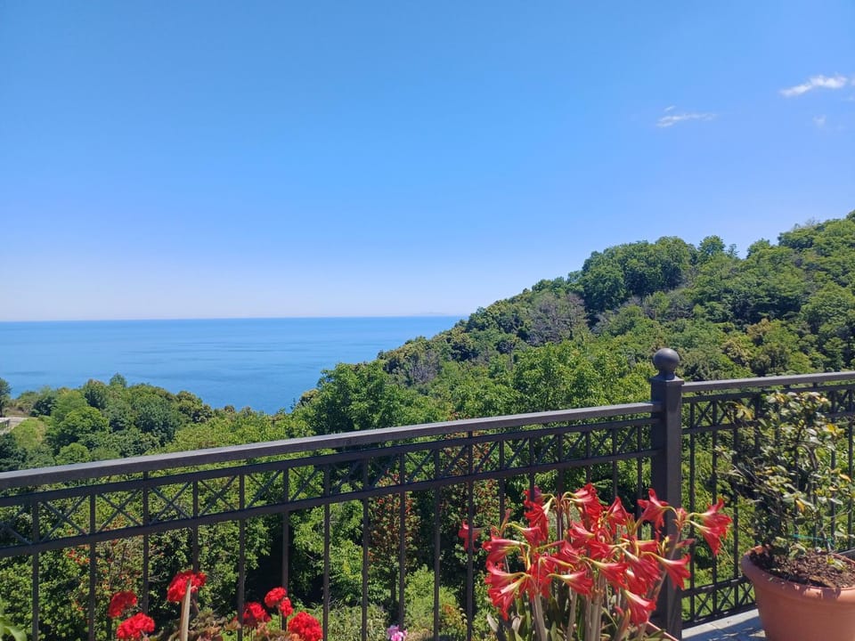 Spring, Day, Natural landscape, View (from property/room), Sea view