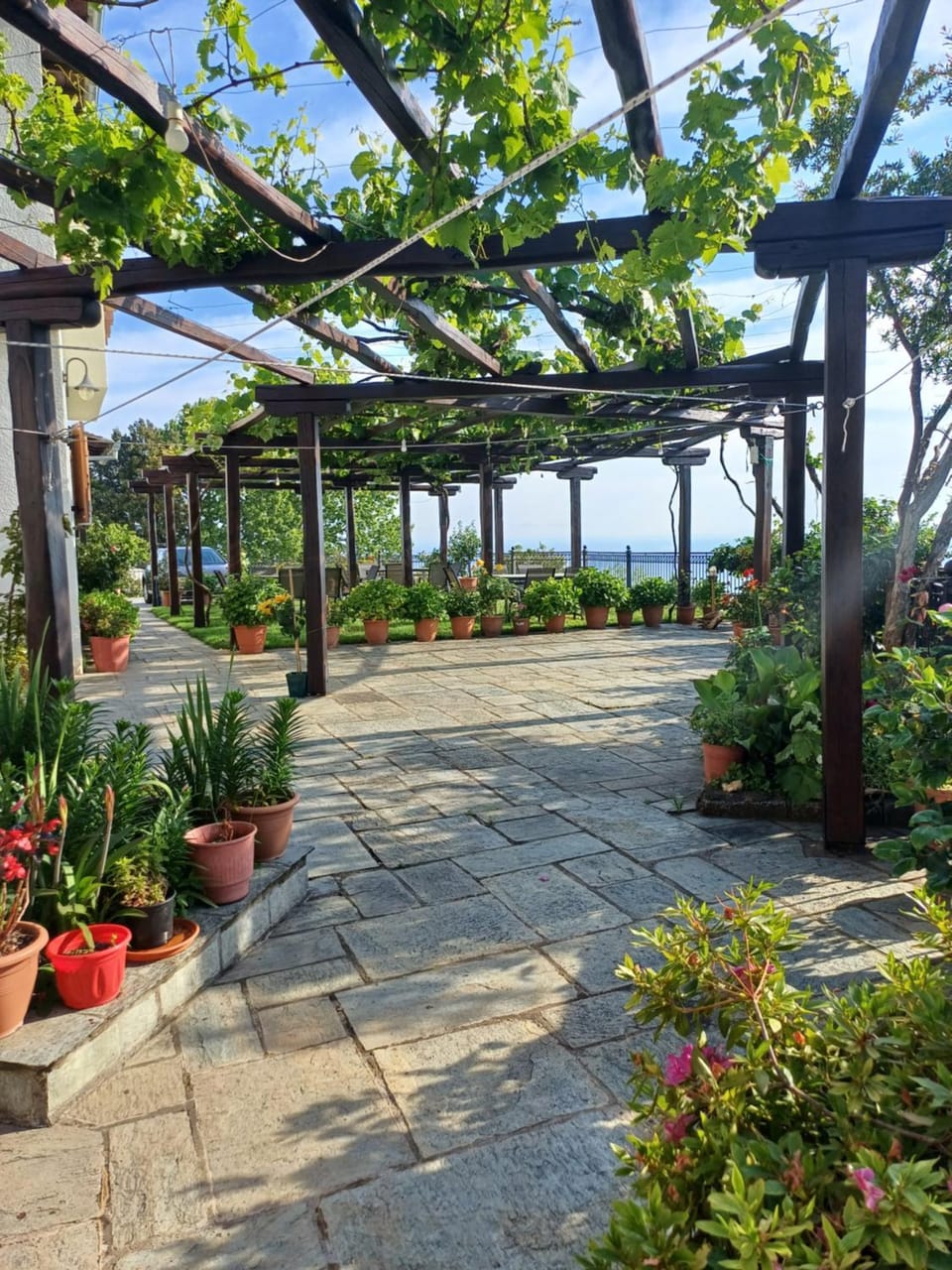 Spring, Garden