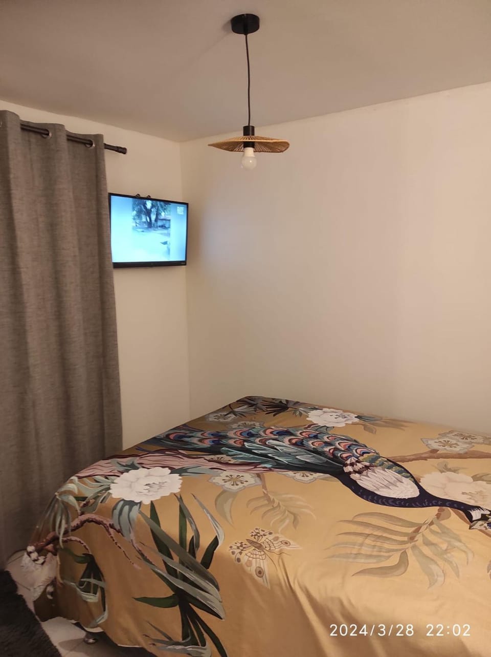 Communal lounge/ TV room, TV and multimedia, Bedroom