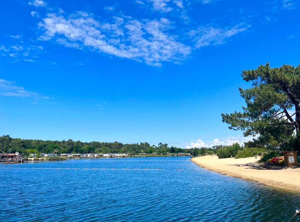Lake view