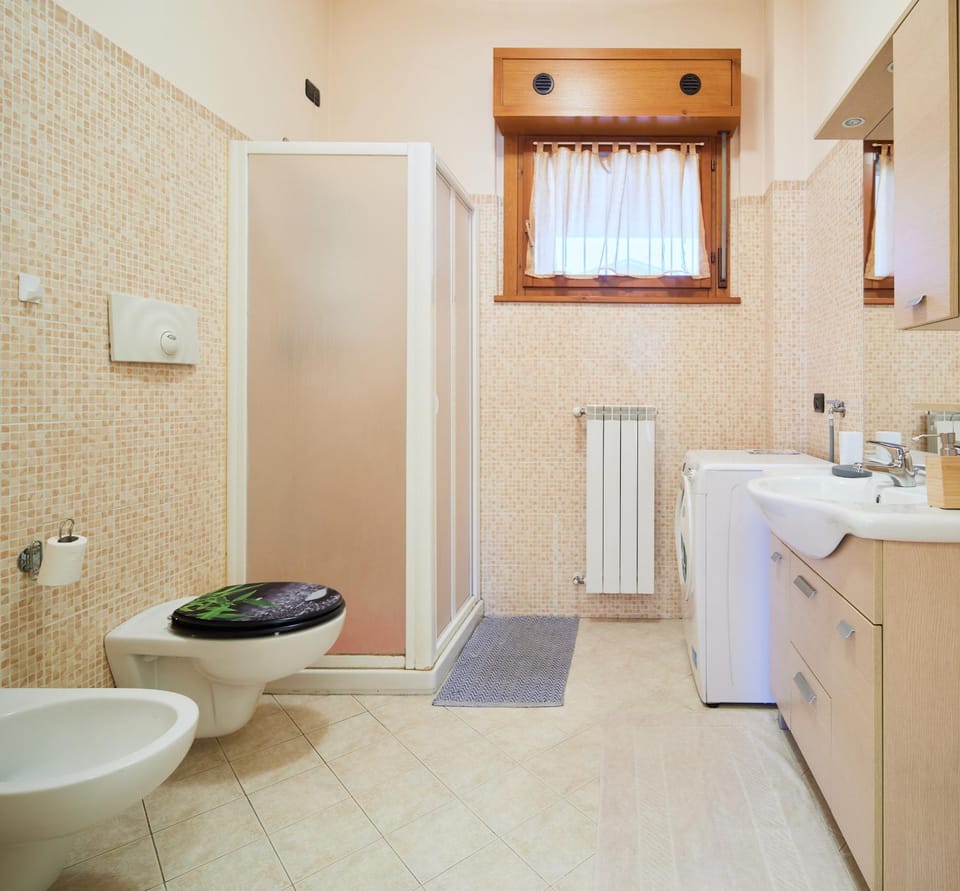 Toilet, Bathroom, bidet