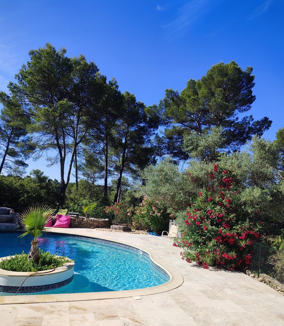 Spring, Garden view, Swimming pool, sunbed