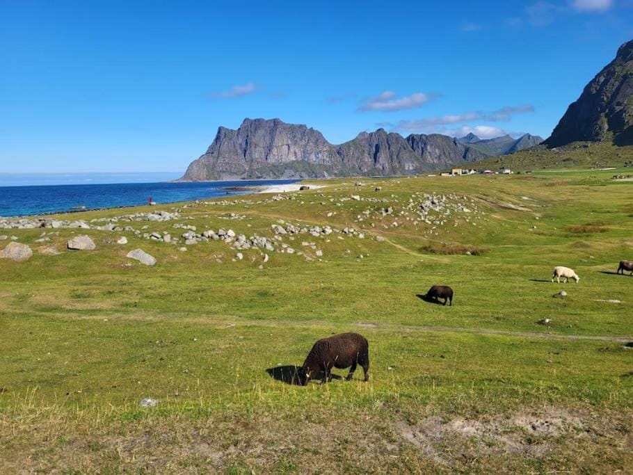 Sweet Cabin Leknes Cabin in Lofoten