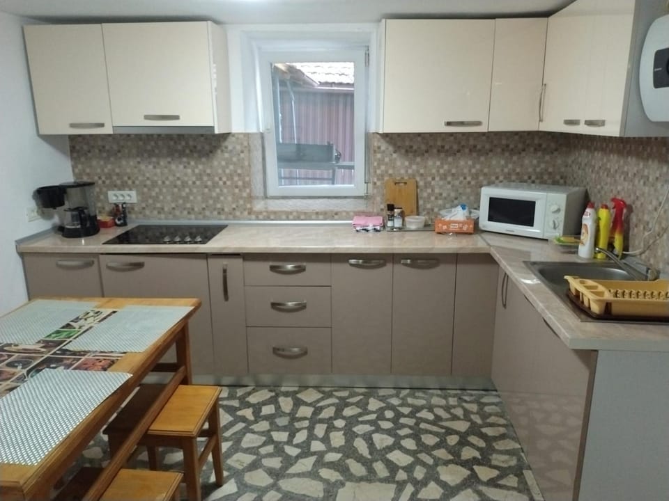 Kitchen or kitchenette, kitchen