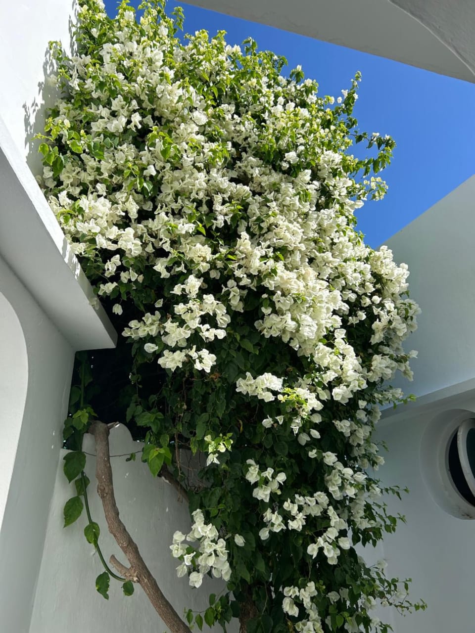 Stella Maris House in Morocco