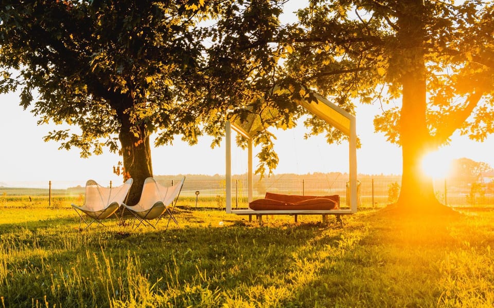 Garden, Sunset