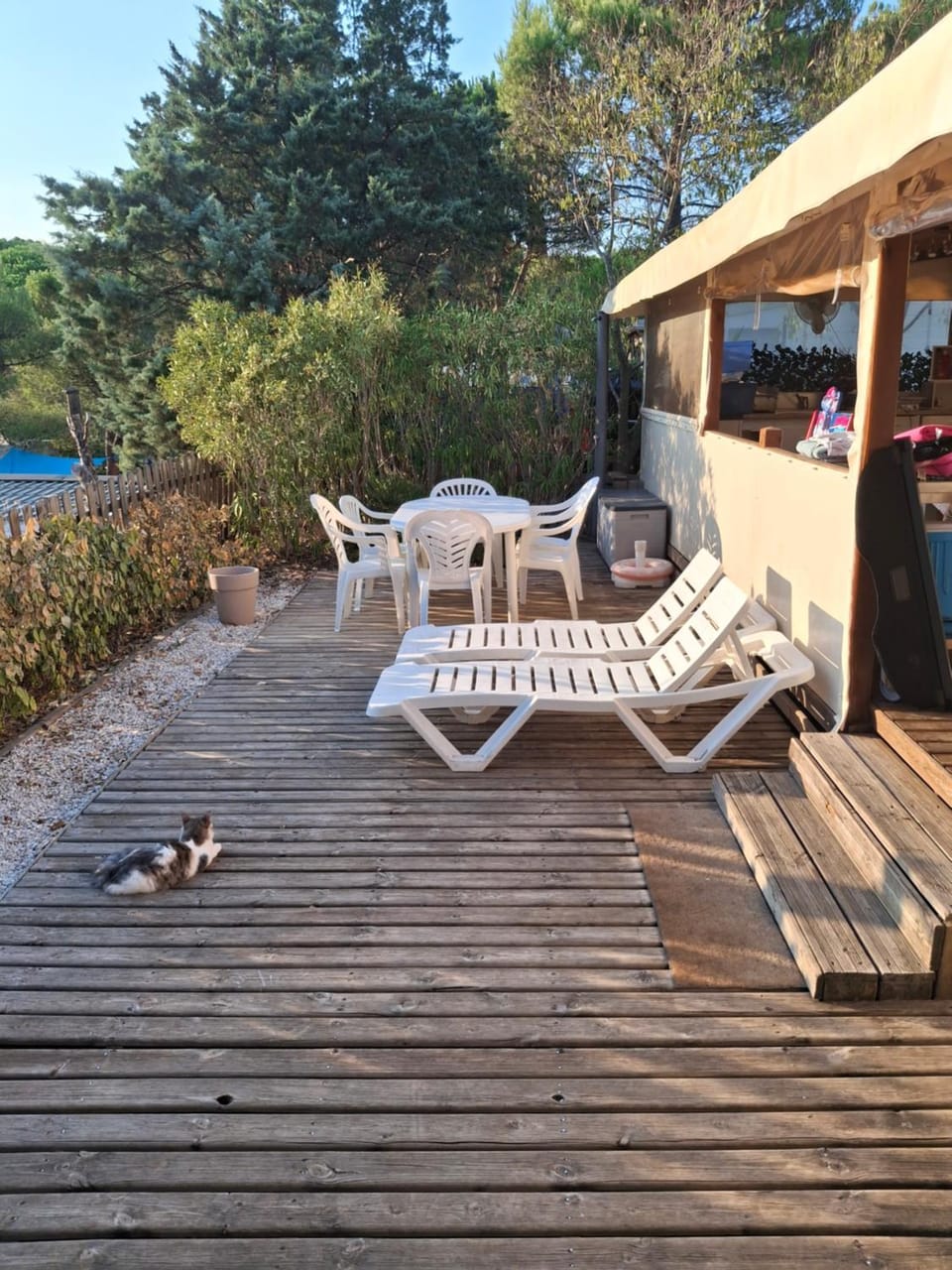 Mobil home à louer dans camping des cigales le muy 5 étoiles Campground/ 
RV Resort in Vidauban