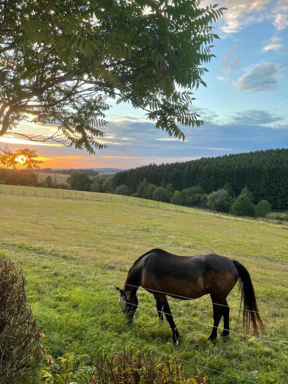 Oase der Ruhe in der Eifel Apartment in Vulkaneifel