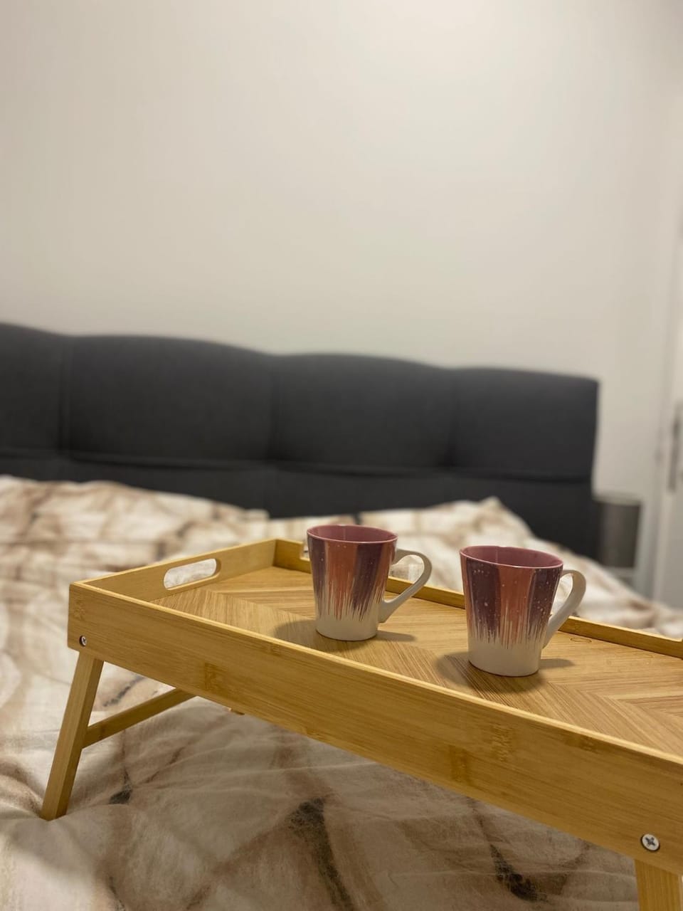 Apartman Blagojevic Apartment in Serbia